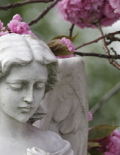 Obituary Image