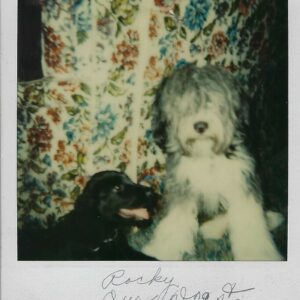 ruth stinnett Gallery