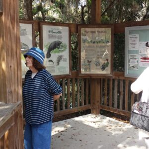 ruth stinnett Gallery