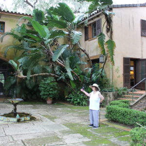 ruth stinnett Gallery
