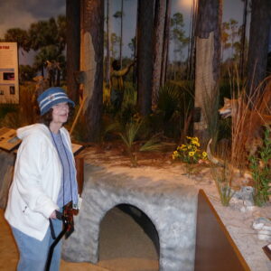 ruth stinnett Gallery